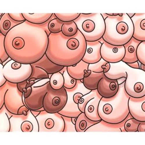 DIVERTY SEX Rectangular PC mat Breast Design 22 x 18 cm
